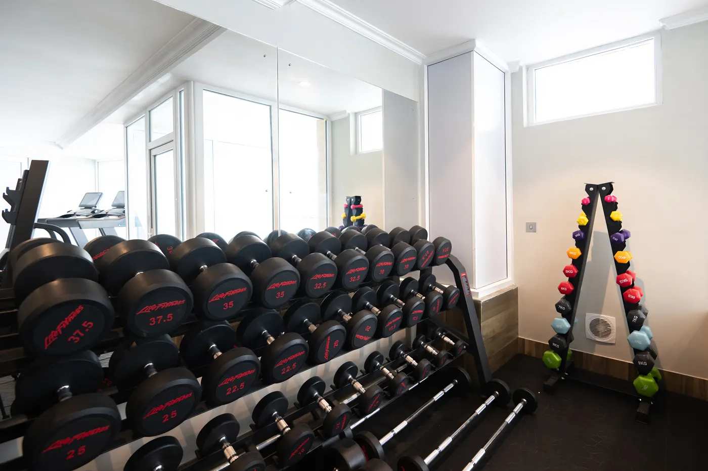 Guest gymnasium with free weights and highland light